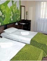 Hotel Green 4*